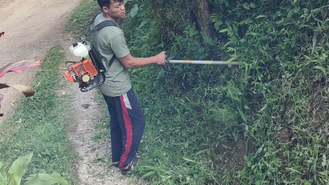 Cobain mesin rumput baru