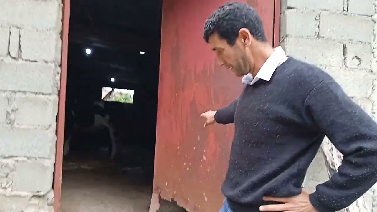 Un bâtiment d'élevage à moindre coût qui nécessite juste quelques améliorations