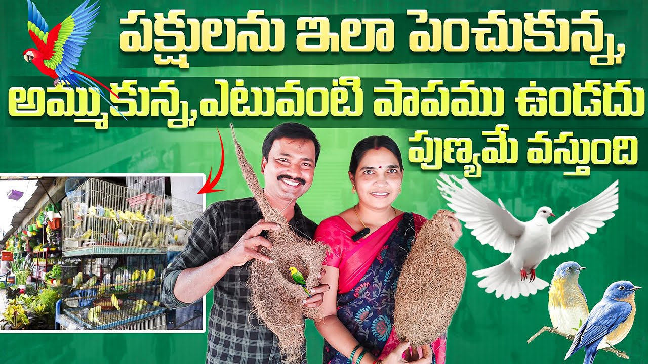పక్షులను ఇలా పెంచుకున్న అమ్ముకున్న ఎటువంటి పాపము ఉండదు పుణ్యమే వస్తుంది 