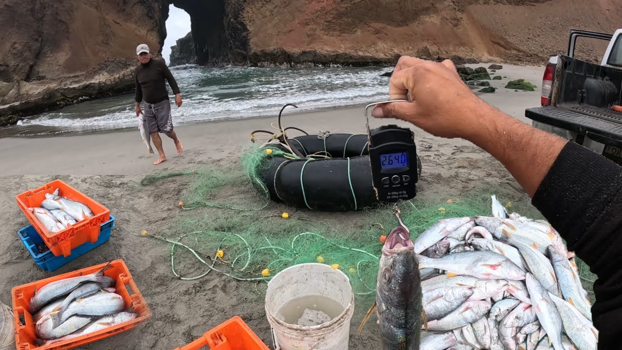 BUSCANDO LOS LENGUADOS Y CORVINAS (BUENA PRODUCCIÓN)