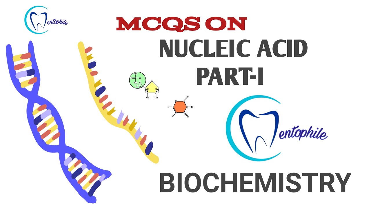 MCQs on Nucleic Acids || Part I || Biochemistry || Basic Science || Dentophile