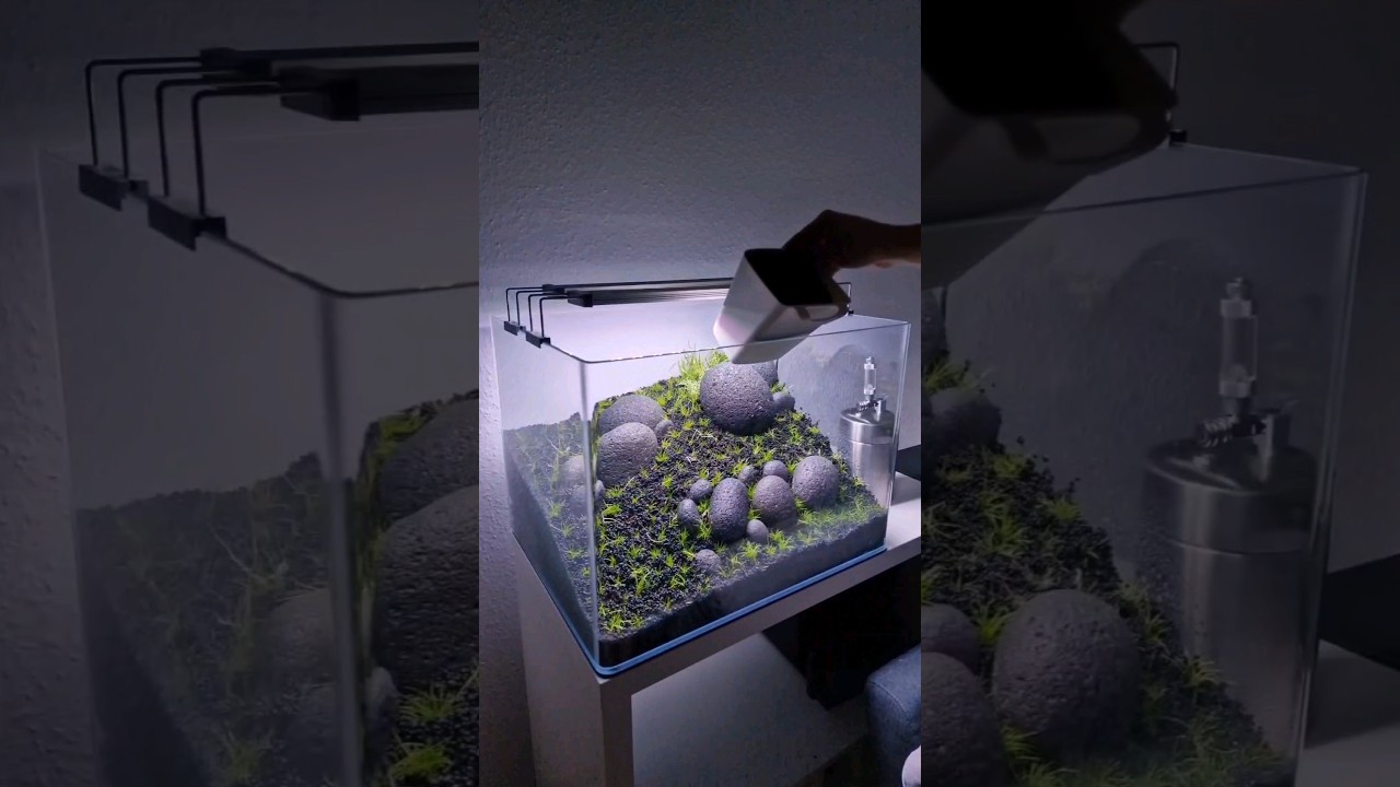 Full Iwagumi Aquascape Build video with all the tips you need to create your own planted aquarium