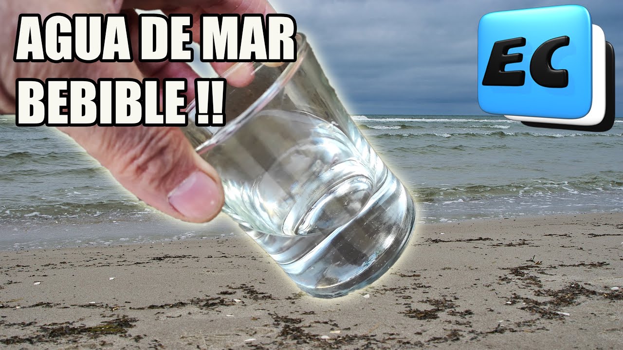 Como hacer bebible cualquier agua #agua #aguapotable #aguabebible