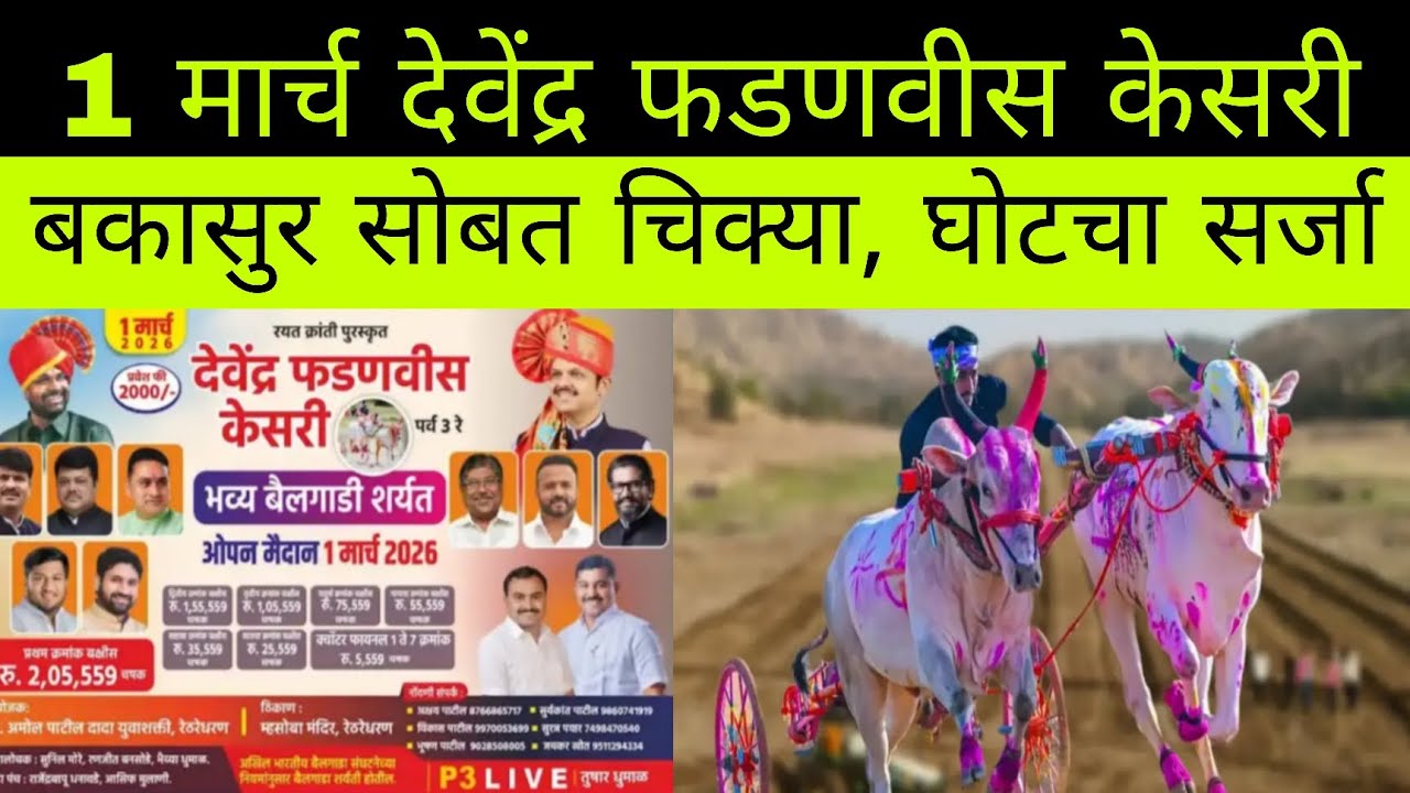 1 मार्च रोजी देवेंद्र फडणवीस केसरी मैदान बकासुर सोबत चिक्या, घोटचा सर्जा कोण पळणार बघा 