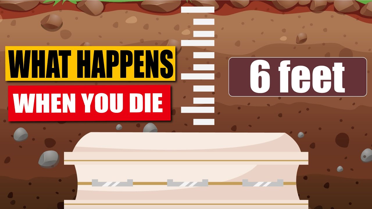 What Happens To Your Body When You Die?