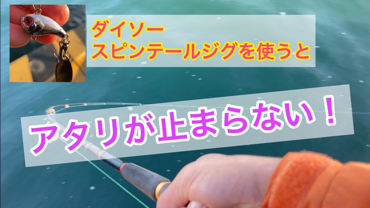【真冬の海】ダイソースピンテールジグで釣りすると、シーバスのアタリが止まらない！！（三重県四日市）