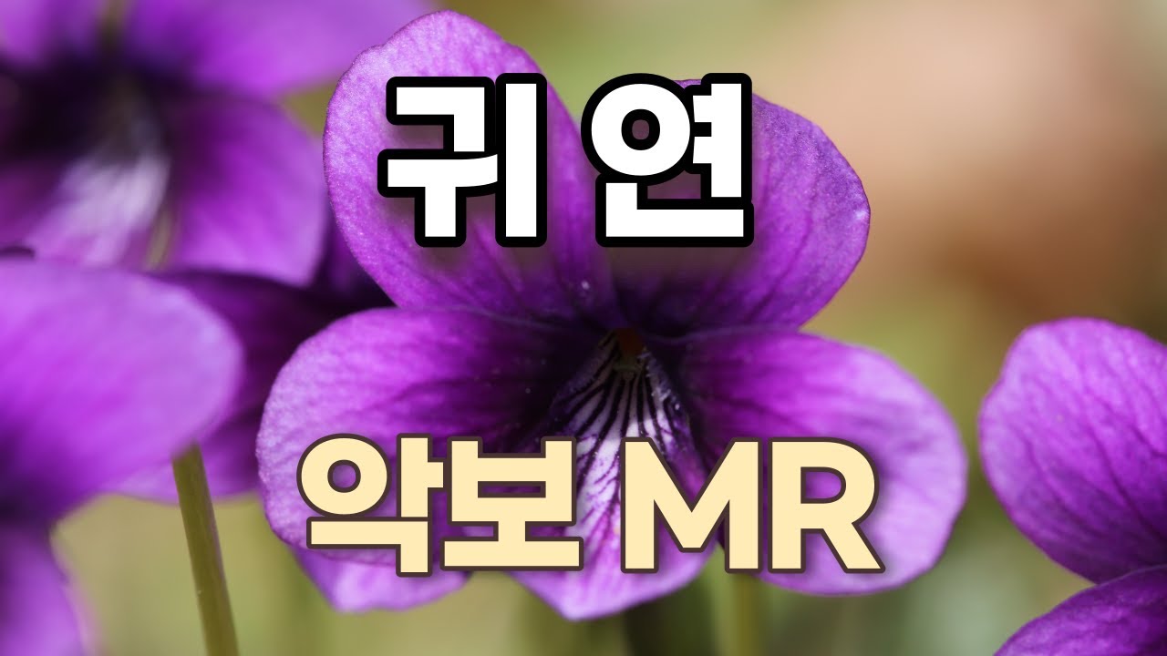 귀연(양원식) K-pop 악보. 가사. 계이름 표기. (엘프) MR. 노래연습.색소폰악보. Alto Saxophone