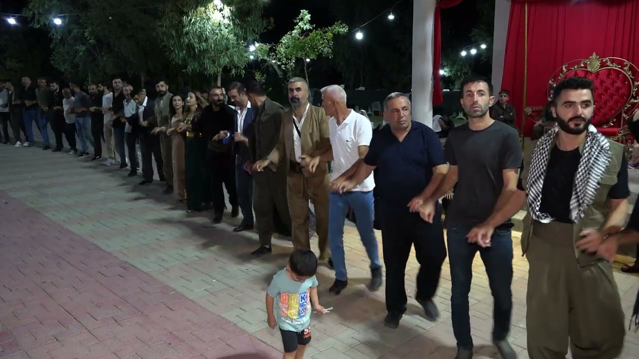 Serkan Cin Düğünü Part 1 ( Koma Kato ) 2024