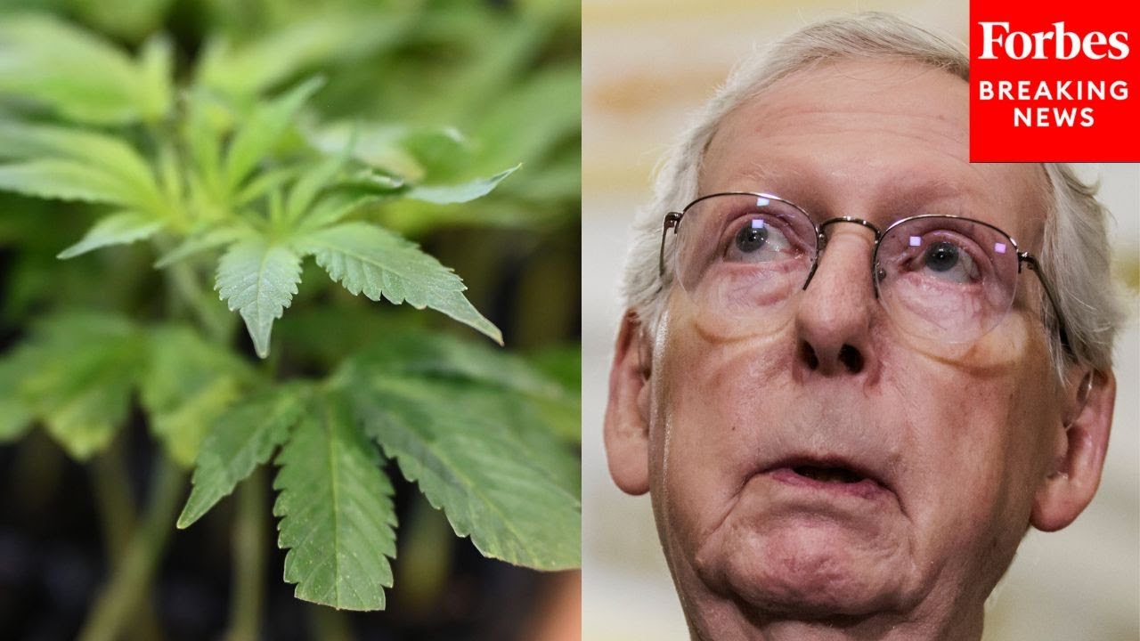 'This Is My Definition Of A Real Problem': Mitch McConnell Demands End To Intoxicating Hemp Products