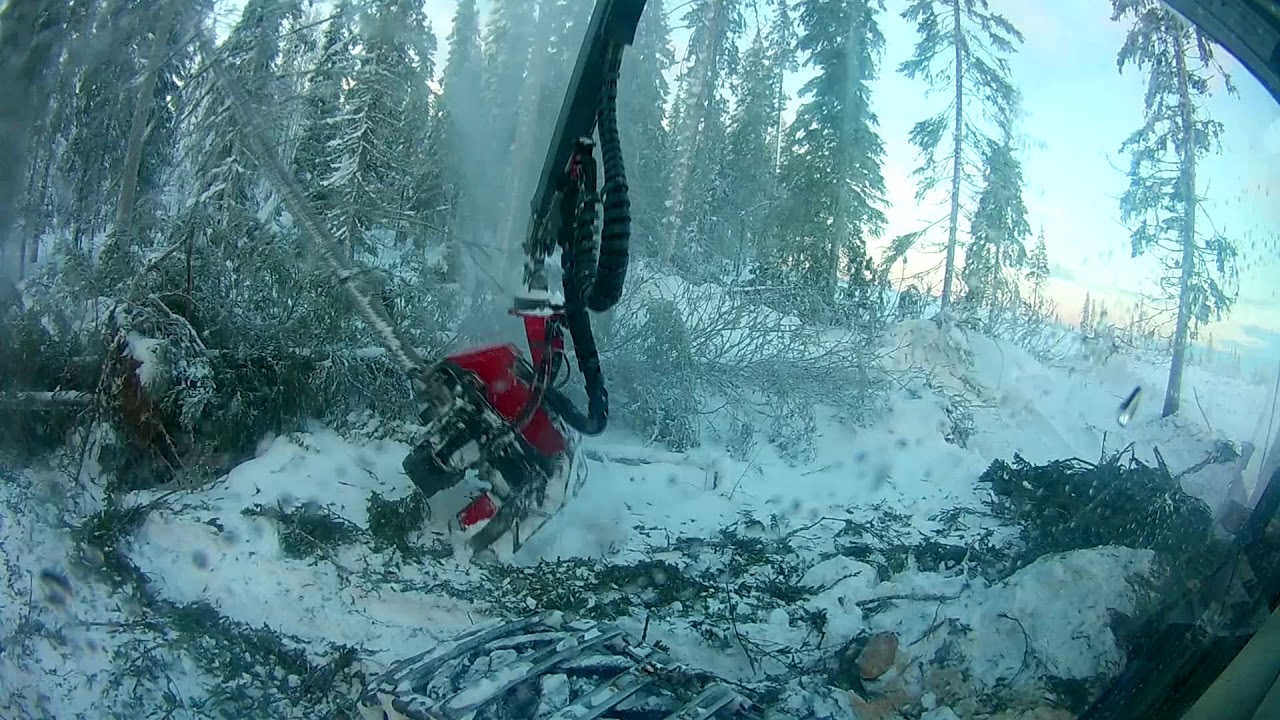 Valmet 911.3 failing extra curcuit breaker, Valmet 365 settings and fallen trees