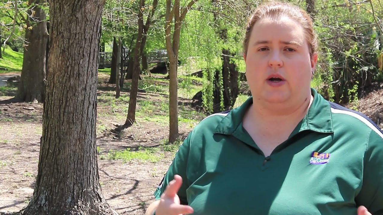 Environmental Management Systems (with Dr. Lisa Fultz)