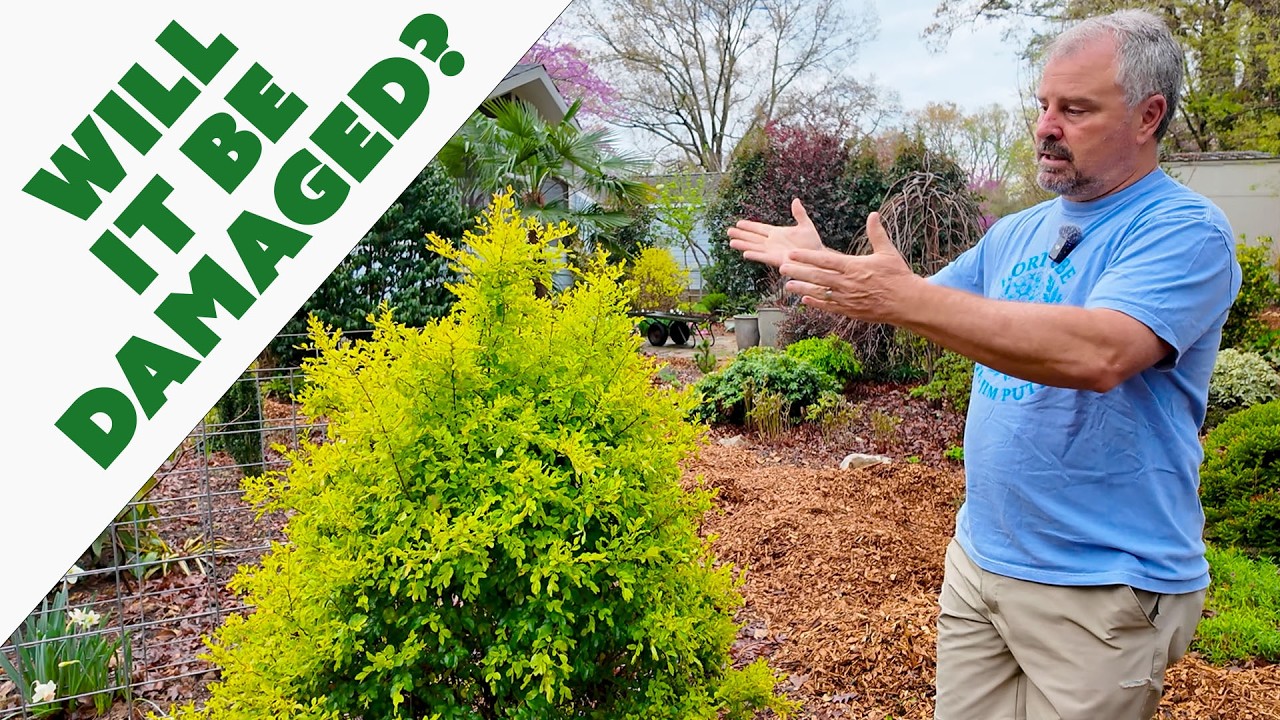 How We Are Protecting Plants from Late Cold Damage