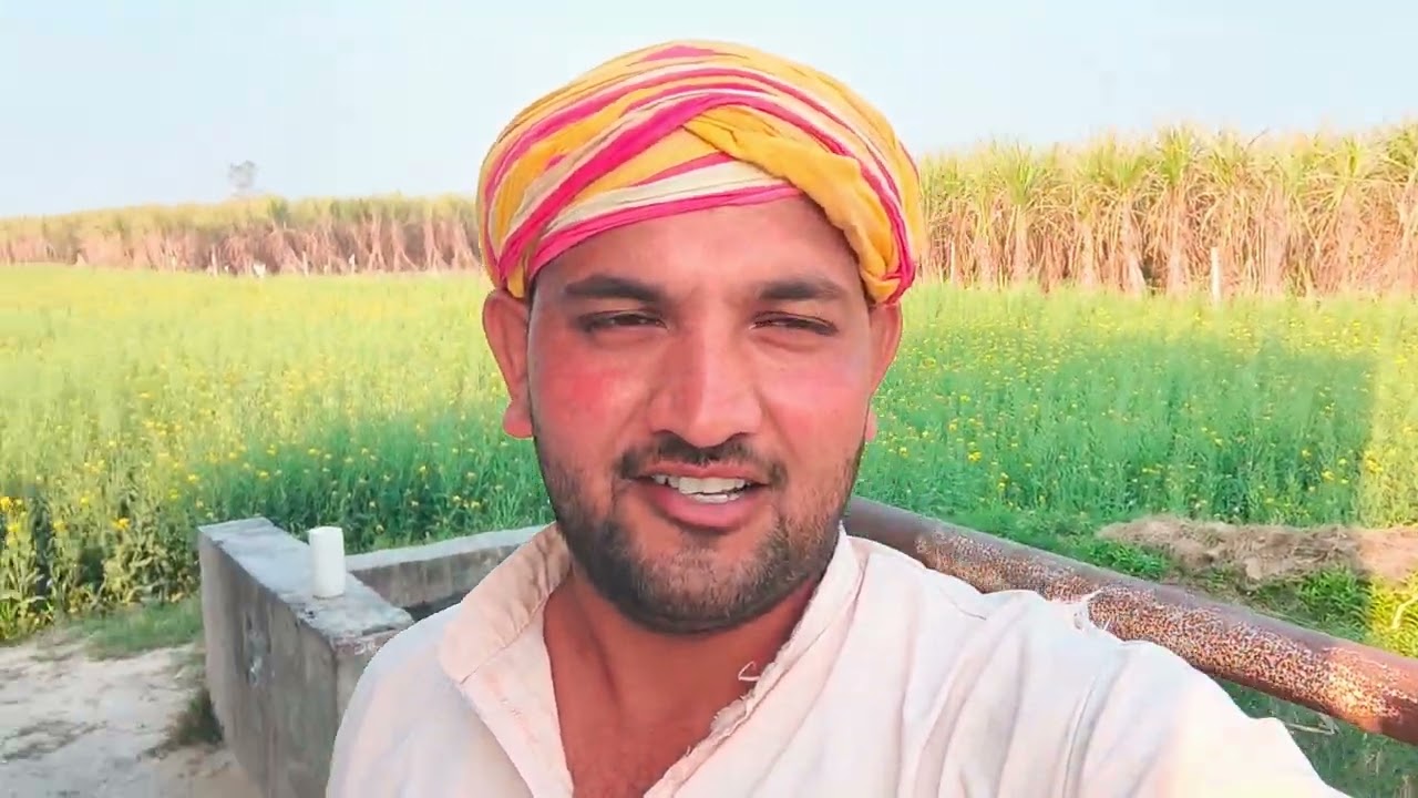आज फिर लगा दिया गेहूं में यूरिया 