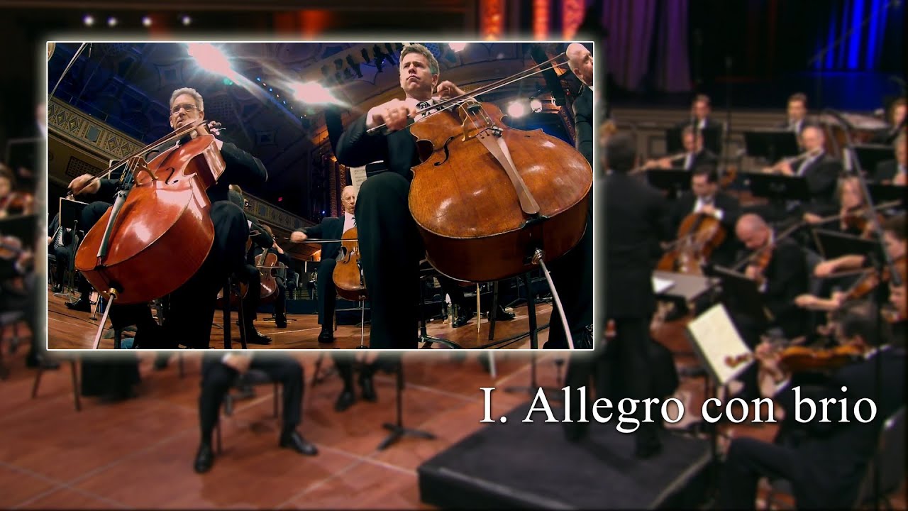 Beethoven 5th Symphony, Mov I (Cello)