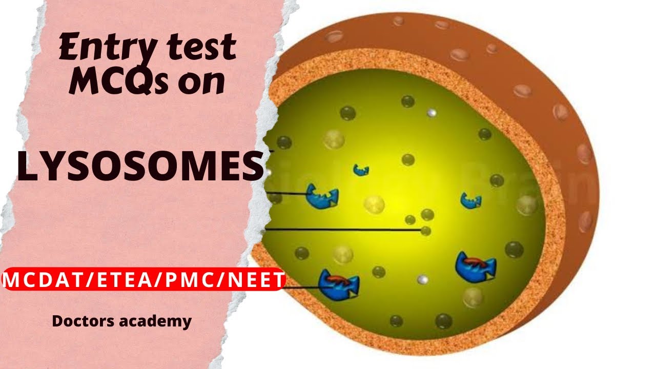 Lysosomes MCQs | Entry test MCQs on lysosomes | MDCAT MCQs on lysosomes | @doctoracademypk