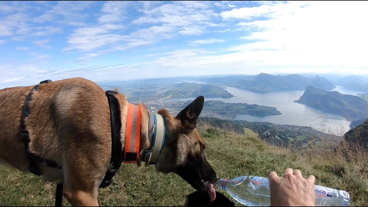Eigenthal - Pilatus Kulm