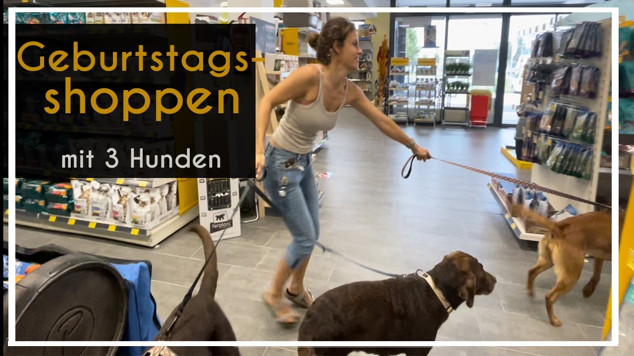 Geburtstags- Shopping für Toffee | Live Shopping Haul | Chocolate+ Foxred Labrador |  KaroLovesMilka