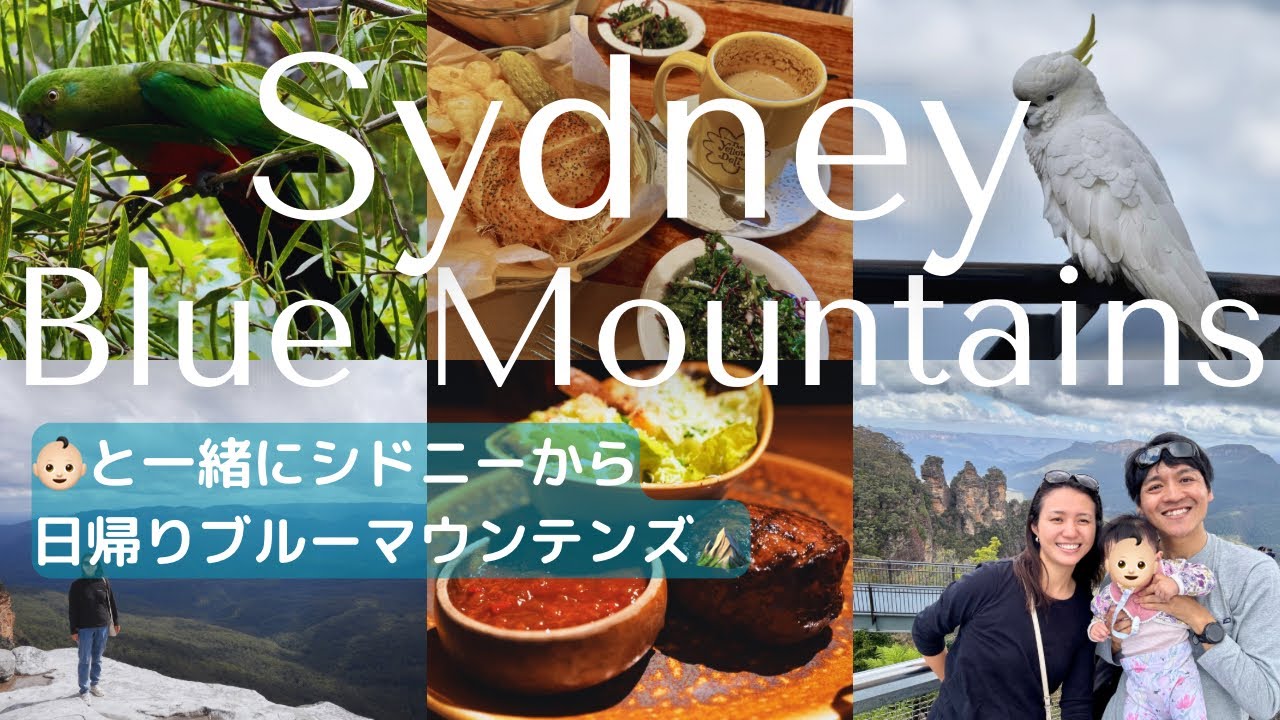 【オーストラリアPart7】シドニーからブルーマウンテンズ日帰り散策 A day trip to Blue Mountains from Sydney with Baby