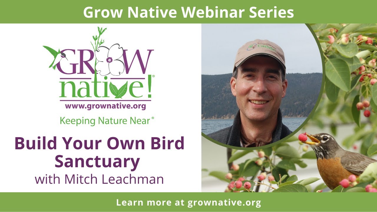 Grow Native! Webinar: Build Your Own Bird Sanctuary with Mitch Leachman