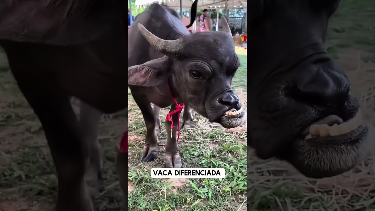 Na resenha da turma 🤣🤣😅