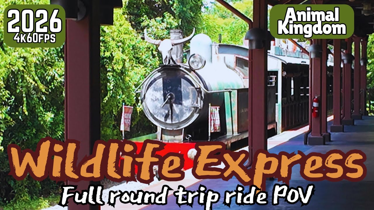 [4K60fps] Wildlife Express Train (Full Round Trip Ride POV) Animal Kingdom WDW 2026