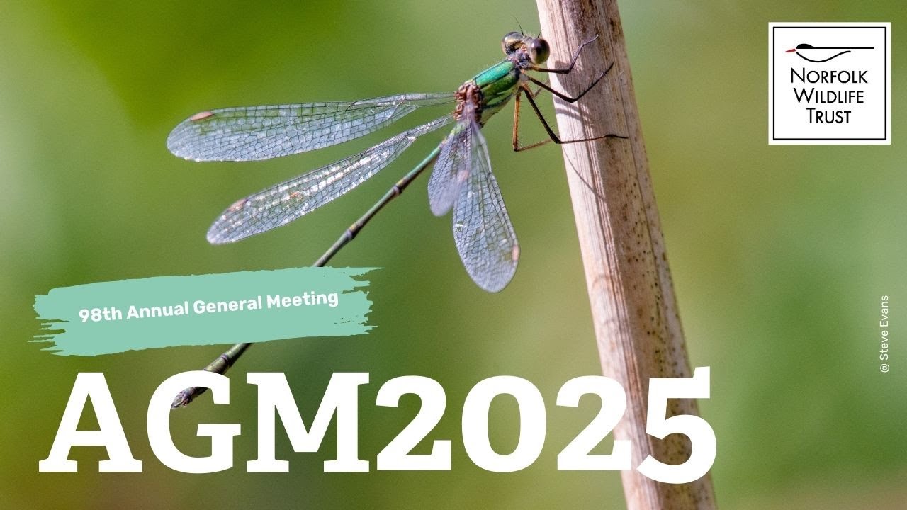 Norfolk Wildlife Trust Annual General Meeting 2025