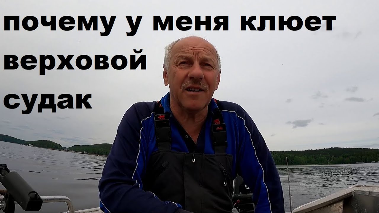 Почему у меня клюет верховой судак.