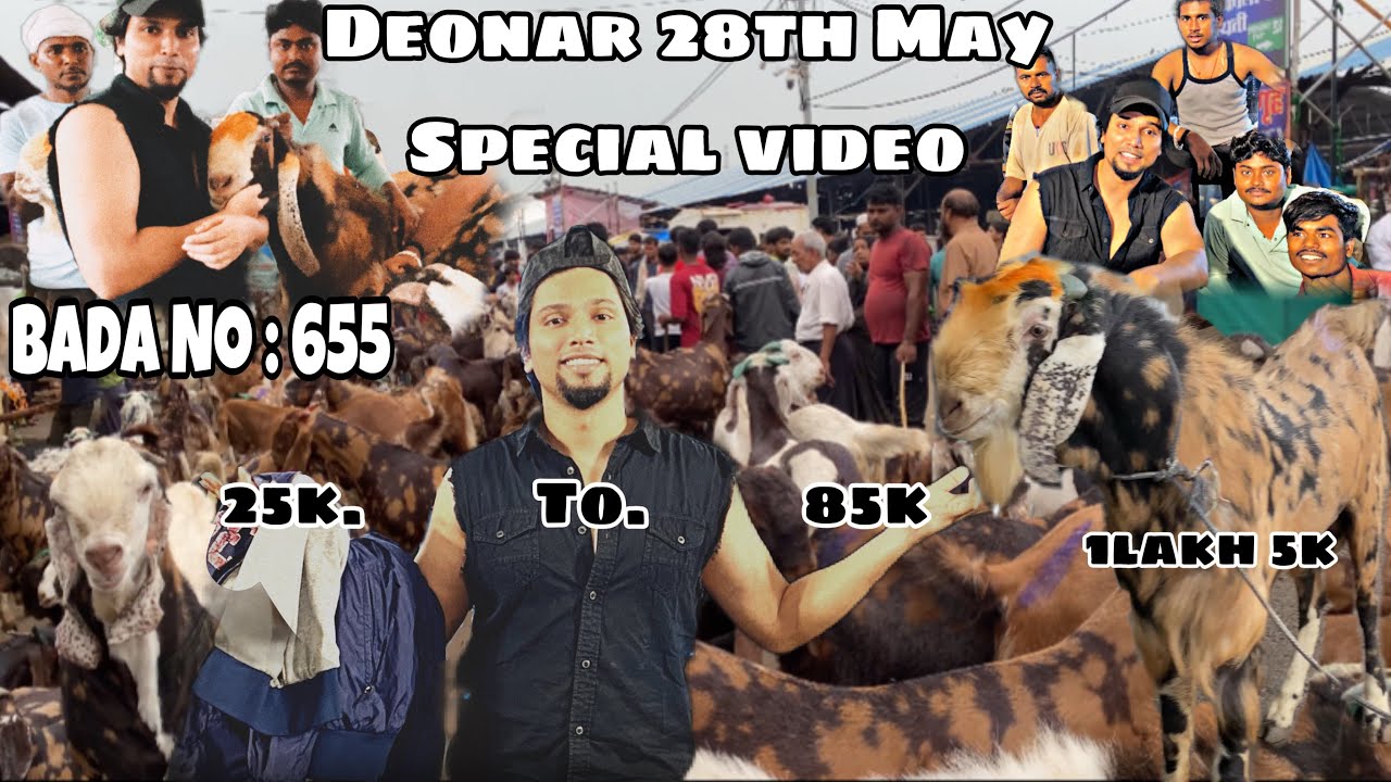 DEONAR BAKRA MANDI 🚨 SPECIAL VIDEO BADA NO 655 #deonarbakramandi #qurbanicollection #eiduladha2025