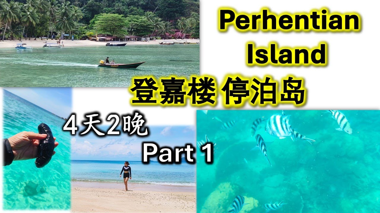 Perhentian Island, Terengganu, Malaysia | 登嘉楼停泊岛| 4天2夜 Part1|斋戒月半价| 清澈的海水🌊|浮浅🤿看海参 鱼🐠 珊瑚| 还有松鼠和四脚蛇🦎