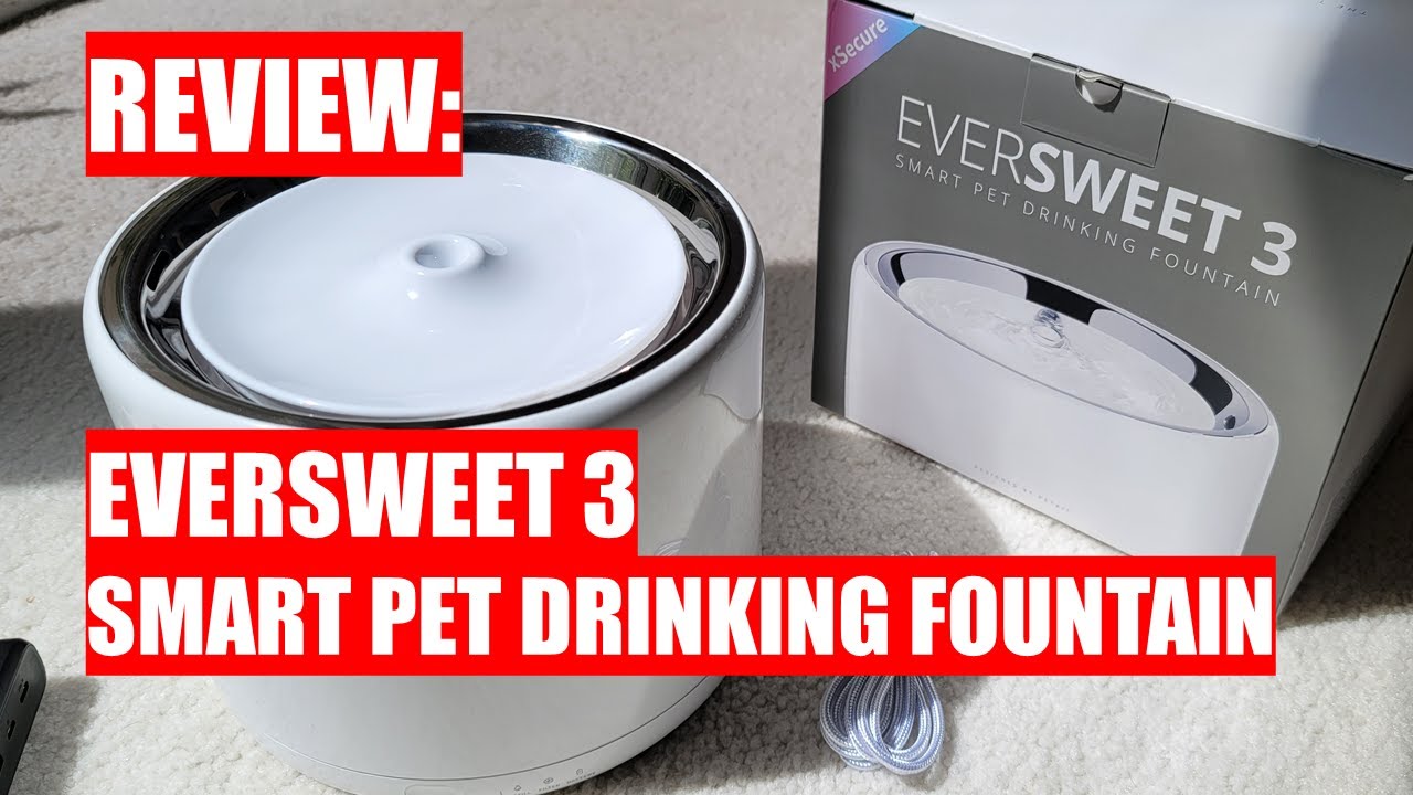 ОБЗОР: PETKIT EverSweet 3 — умный питьевой фонтанчик для домашних животных