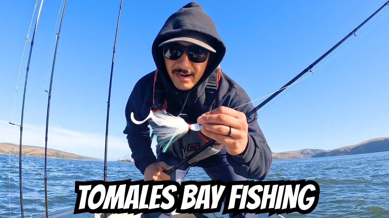 Fishing for Halibut Tomales Bay