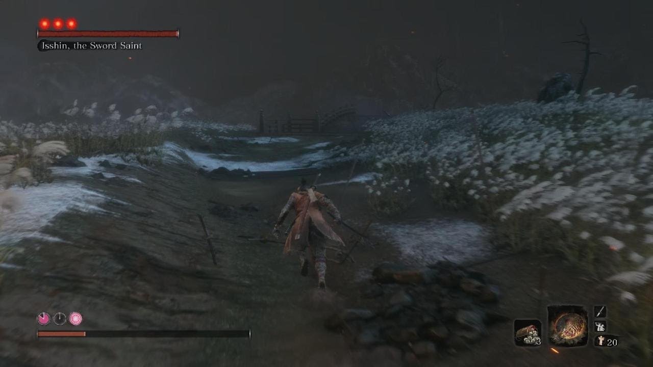 Isshin The Sword Saint