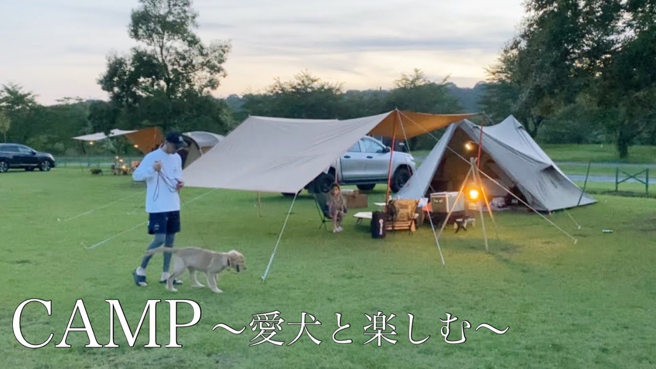 【CAMP】愛犬ゴールデンレトリバーと初めてのキャンプ