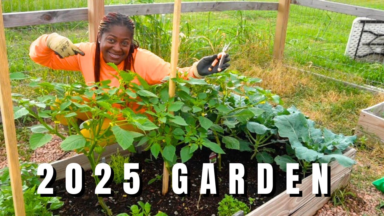 May 2025 Garden Tour - The Starting Point to Growing Hundreds of Pounds of Of Food In My Backyard