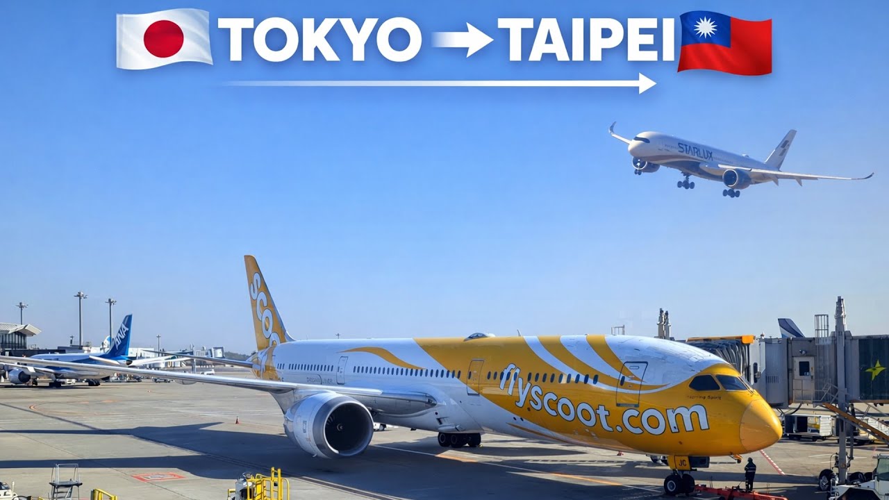Fly Scoot Flight Report | Strong Winds Delayed Departure | Narita - Taipei