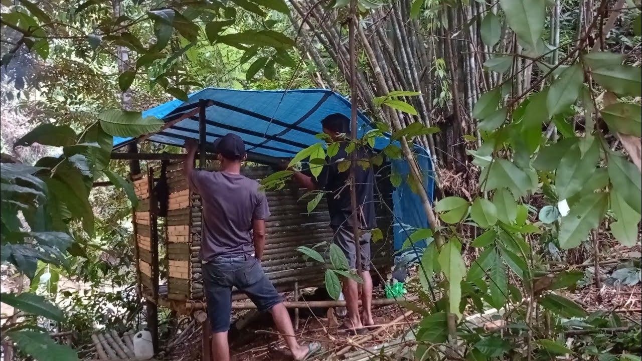 Camping-membangun tempat bermalam tengah hutan ditepi sungai yang hangat dan nyaman-ASMR
