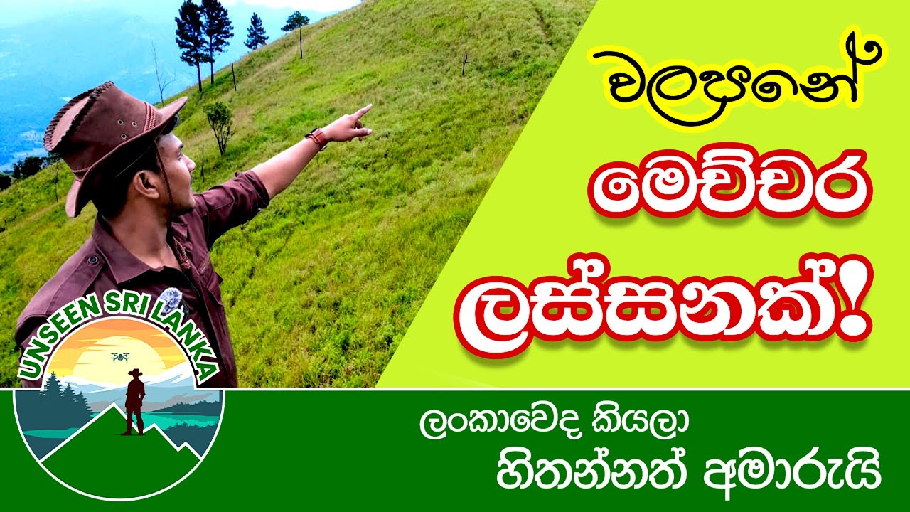 කඳුකරේ මැද්දේ නොදුටු වලපනේ Unseen Sri Lanka | Unexplored Viewpoints in Walapane | Episode#02