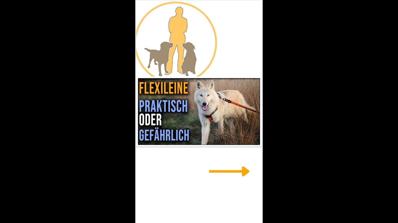 Flexileine richtig verwendet!