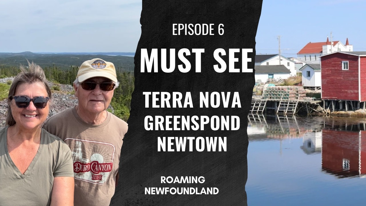 Terra Nova National Park & Newfoundland’s Most Underrated Coast