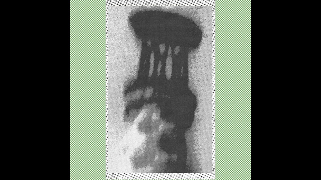 NERVATUUR + ALKOOF split [FULL EP | KAT 017]