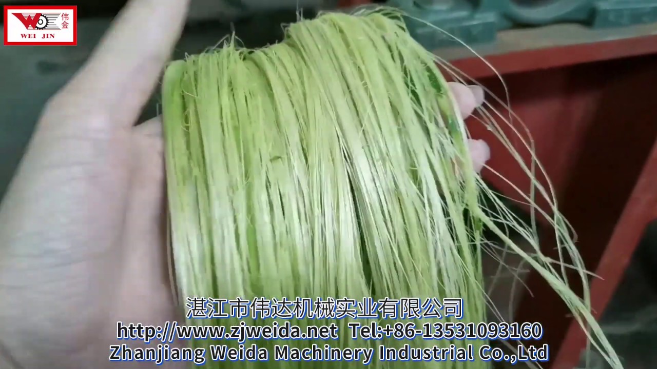 Sisal Leaf decorticator extractor Machine in China