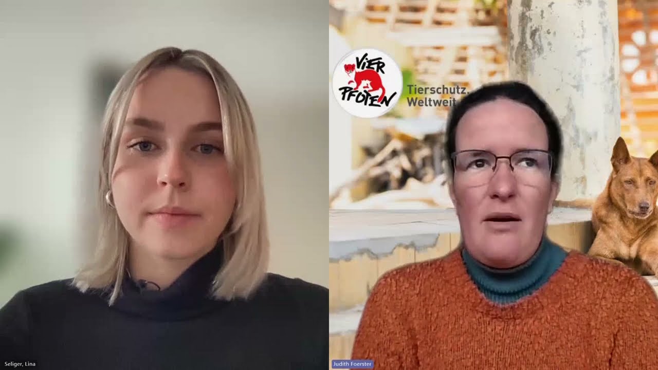 Von der Pandemie gekennzeichnet: Überfüllte deutsche Tierheim | Lina Seliger