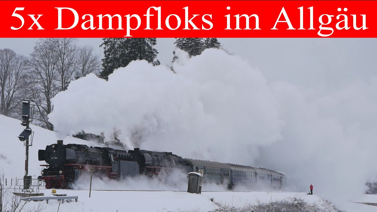 Eisenbahnromantik im Allgäu! 5 Dampfloks auf der Allgäubahn und am Bodensee | IGE, Europavor, BEM