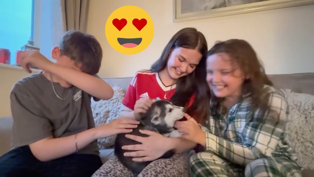 CUTEST Puppy Surprise Ever! Kids’ Reactions Will Melt You 🐶😍