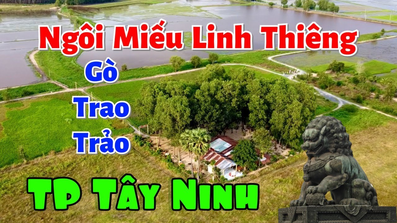 NGÔI MIẾU LINH THIÊNG GIỮA ĐỒNG BƯNG GÒ TRAO TRẢO/NẮNG TÂY NINH (TT91)