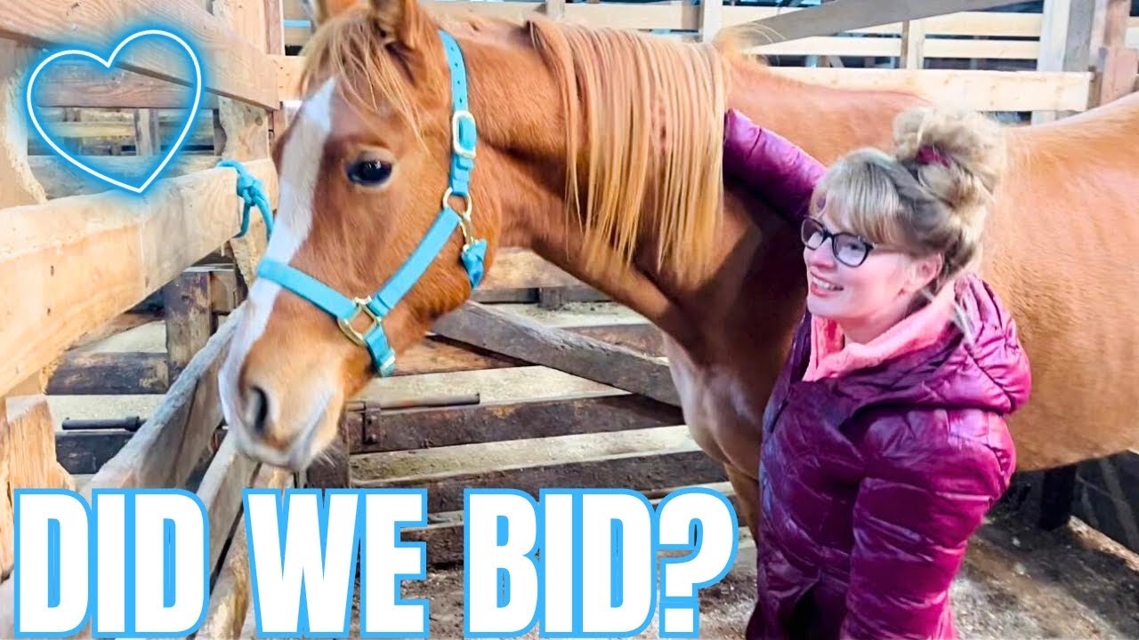 Did We Find A Horse At The Black Friday Auction?!