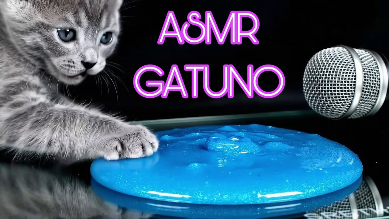 CATS trying ASMR | Slime and Paws😻✨ 