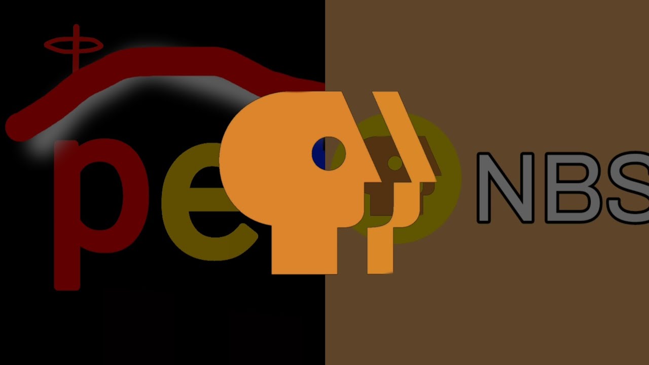 pet/nbs logo history #3