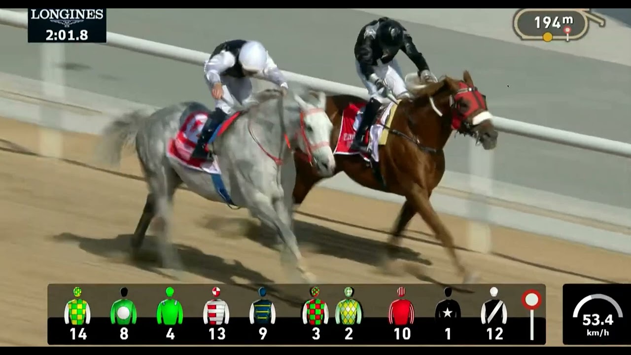 2024 03/2:R1/Connor Beasley/Suny Du Loup(:Age6)T .H All Marar: @ Local (Group1 ) 2000m @ Meydan