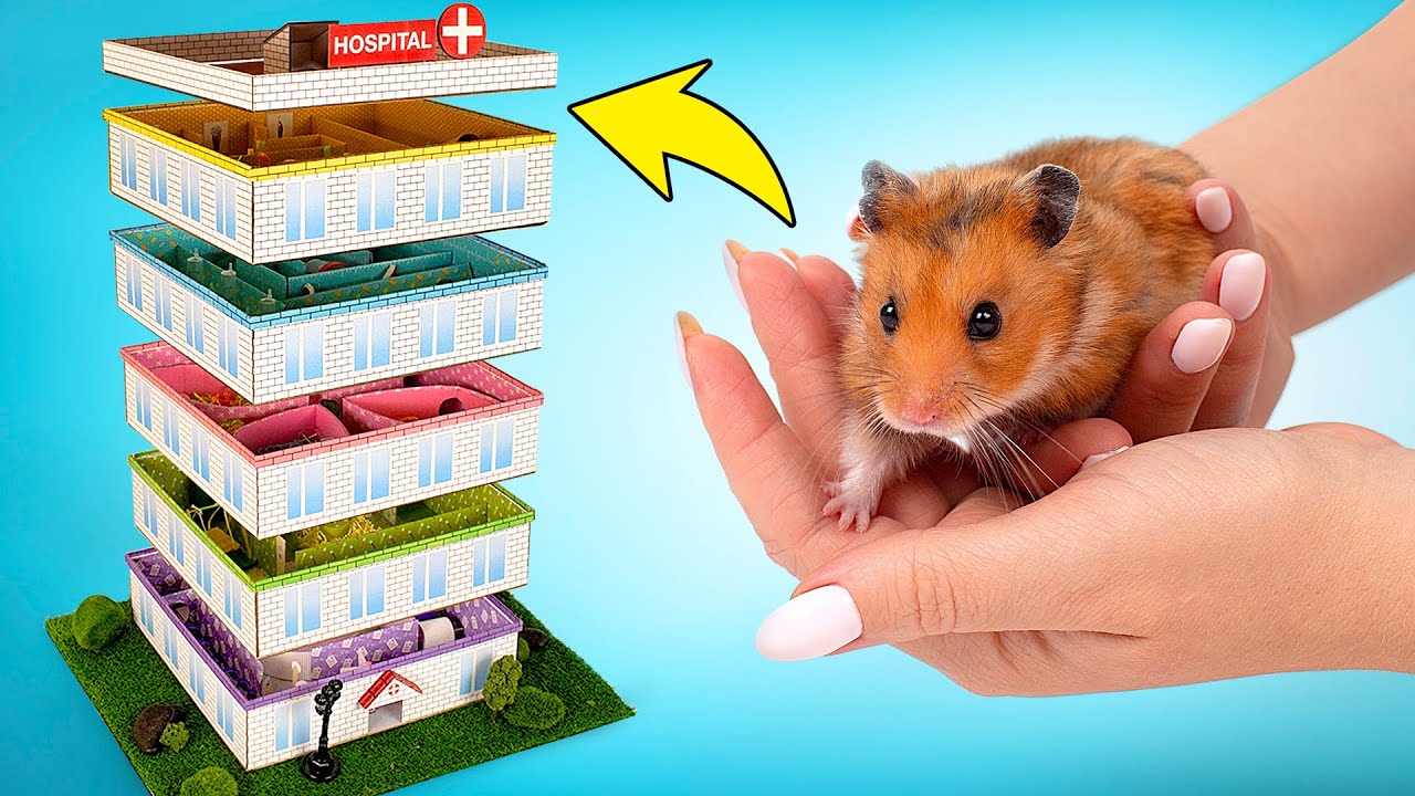 Szpitalny labirynt dla chomika z pięcioma poziomami zrób to sam 🐹🏥 Pomysły DIY dla chomika